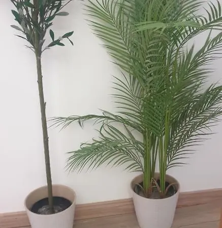 Pensionat Pensamento Iv Lisboa